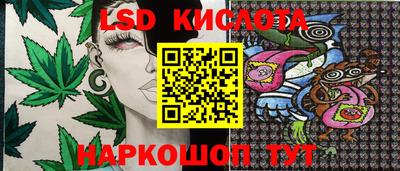 прущие крисы Лесосибирск
