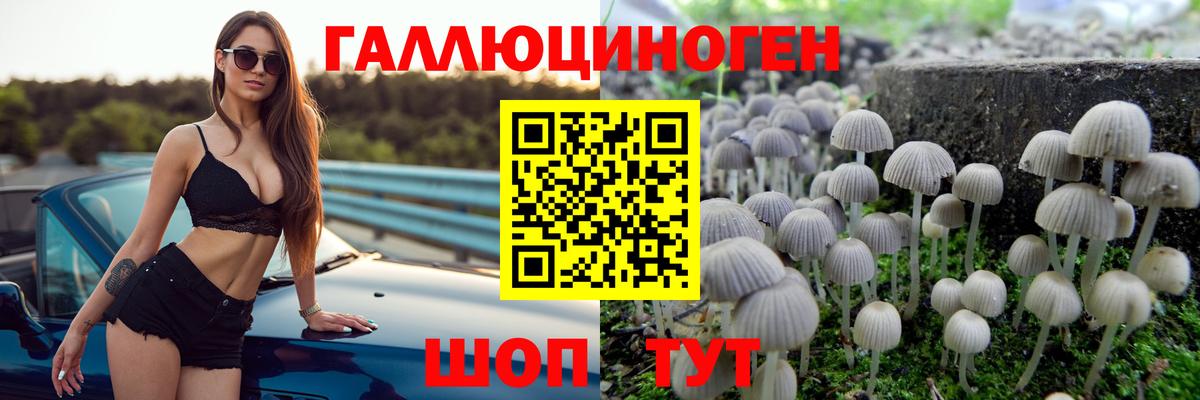 Псилоцибиновые грибы Magic Shrooms  Вход с VPN  Кизляр 